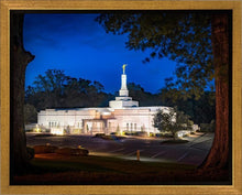 Load image into Gallery viewer, Baton Rouge and the Louisiana Blues