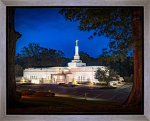 Load image into Gallery viewer, Baton Rouge and the Louisiana Blues