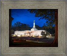 Load image into Gallery viewer, Baton Rouge and the Louisiana Blues