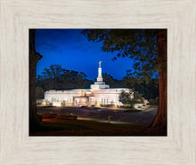 Load image into Gallery viewer, Baton Rouge and the Louisiana Blues