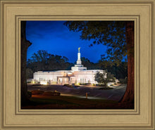 Load image into Gallery viewer, Baton Rouge and the Louisiana Blues