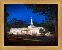Load image into Gallery viewer, Baton Rouge and the Louisiana Blues