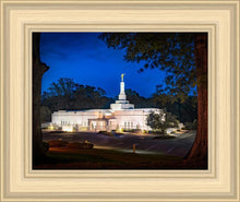 Load image into Gallery viewer, Baton Rouge and the Louisiana Blues