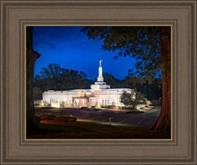 Load image into Gallery viewer, Baton Rouge and the Louisiana Blues