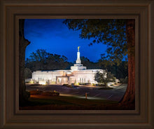 Load image into Gallery viewer, Baton Rouge and the Louisiana Blues
