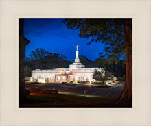 Load image into Gallery viewer, Baton Rouge and the Louisiana Blues