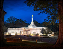 Load image into Gallery viewer, Baton Rouge and the Louisiana Blues