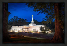 Load image into Gallery viewer, Baton Rouge and the Louisiana Blues