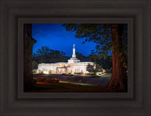 Load image into Gallery viewer, Baton Rouge and the Louisiana Blues
