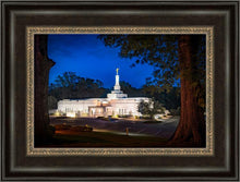 Load image into Gallery viewer, Baton Rouge and the Louisiana Blues