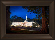 Load image into Gallery viewer, Baton Rouge and the Louisiana Blues