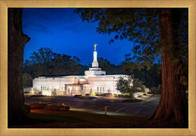 Load image into Gallery viewer, Baton Rouge and the Louisiana Blues