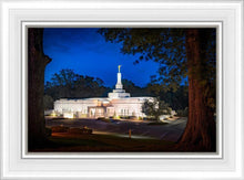 Load image into Gallery viewer, Baton Rouge and the Louisiana Blues