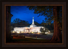 Load image into Gallery viewer, Baton Rouge and the Louisiana Blues