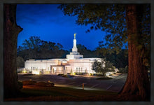Load image into Gallery viewer, Baton Rouge and the Louisiana Blues
