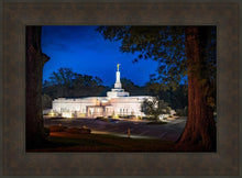 Load image into Gallery viewer, Baton Rouge and the Louisiana Blues