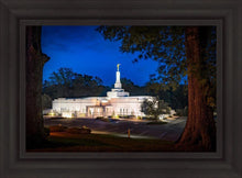 Load image into Gallery viewer, Baton Rouge and the Louisiana Blues