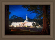 Load image into Gallery viewer, Baton Rouge and the Louisiana Blues