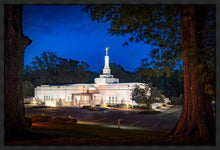 Load image into Gallery viewer, Baton Rouge and the Louisiana Blues