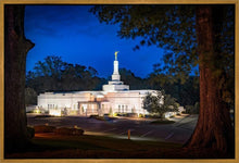 Load image into Gallery viewer, Baton Rouge and the Louisiana Blues