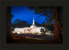 Load image into Gallery viewer, Baton Rouge and the Louisiana Blues