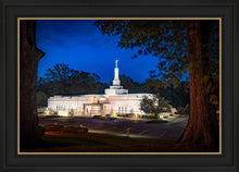 Load image into Gallery viewer, Baton Rouge and the Louisiana Blues