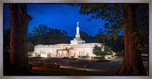 Load image into Gallery viewer, Baton Rouge and the Louisiana Blues