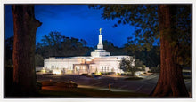 Load image into Gallery viewer, Baton Rouge and the Louisiana Blues