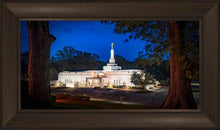 Load image into Gallery viewer, Baton Rouge and the Louisiana Blues