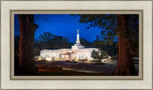 Load image into Gallery viewer, Baton Rouge and the Louisiana Blues