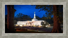 Load image into Gallery viewer, Baton Rouge and the Louisiana Blues