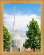 Load image into Gallery viewer, Billings Side