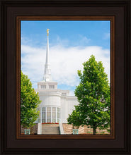 Load image into Gallery viewer, Billings Side