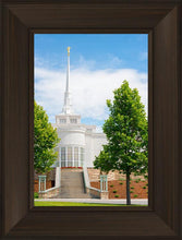 Load image into Gallery viewer, Billings Side