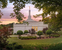 Load image into Gallery viewer, Birmingham Garden