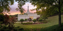 Load image into Gallery viewer, Birmingham Garden