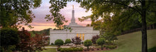 Load image into Gallery viewer, Birmingham Garden
