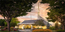 Load image into Gallery viewer, Boise Garden