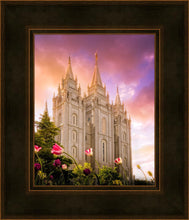 Load image into Gallery viewer, Salt Lake Tulips