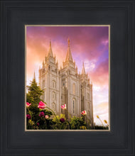 Load image into Gallery viewer, Salt Lake Tulips