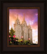 Load image into Gallery viewer, Salt Lake Tulips