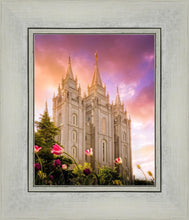 Load image into Gallery viewer, Salt Lake Tulips