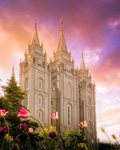 Load image into Gallery viewer, Salt Lake Tulips