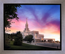 Load image into Gallery viewer, Bountiful Light