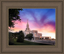 Load image into Gallery viewer, Bountiful Light