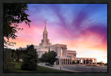 Load image into Gallery viewer, Bountiful Light