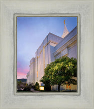 Load image into Gallery viewer, Bountiful Side