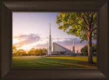 Load image into Gallery viewer, Dallas Eventide