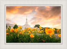 Load image into Gallery viewer, Detroit Flowers