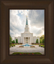 Load image into Gallery viewer, Houston Day